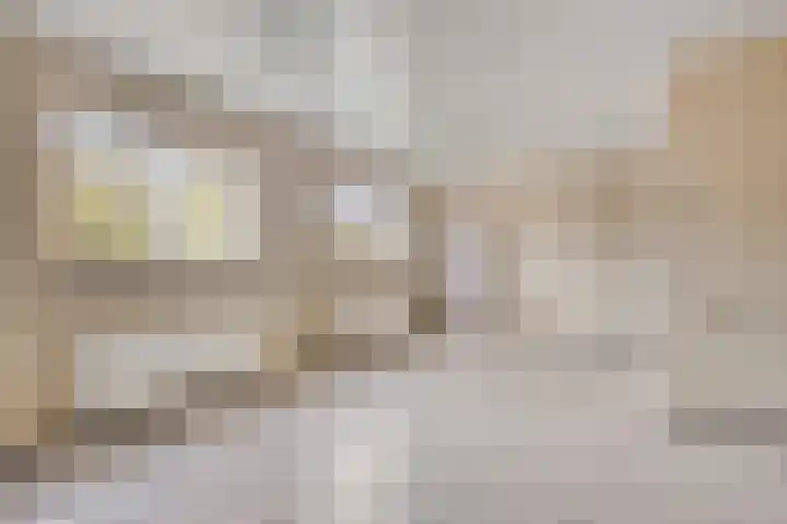 Veesser Enkweg 46 Veessen thumbnail 4