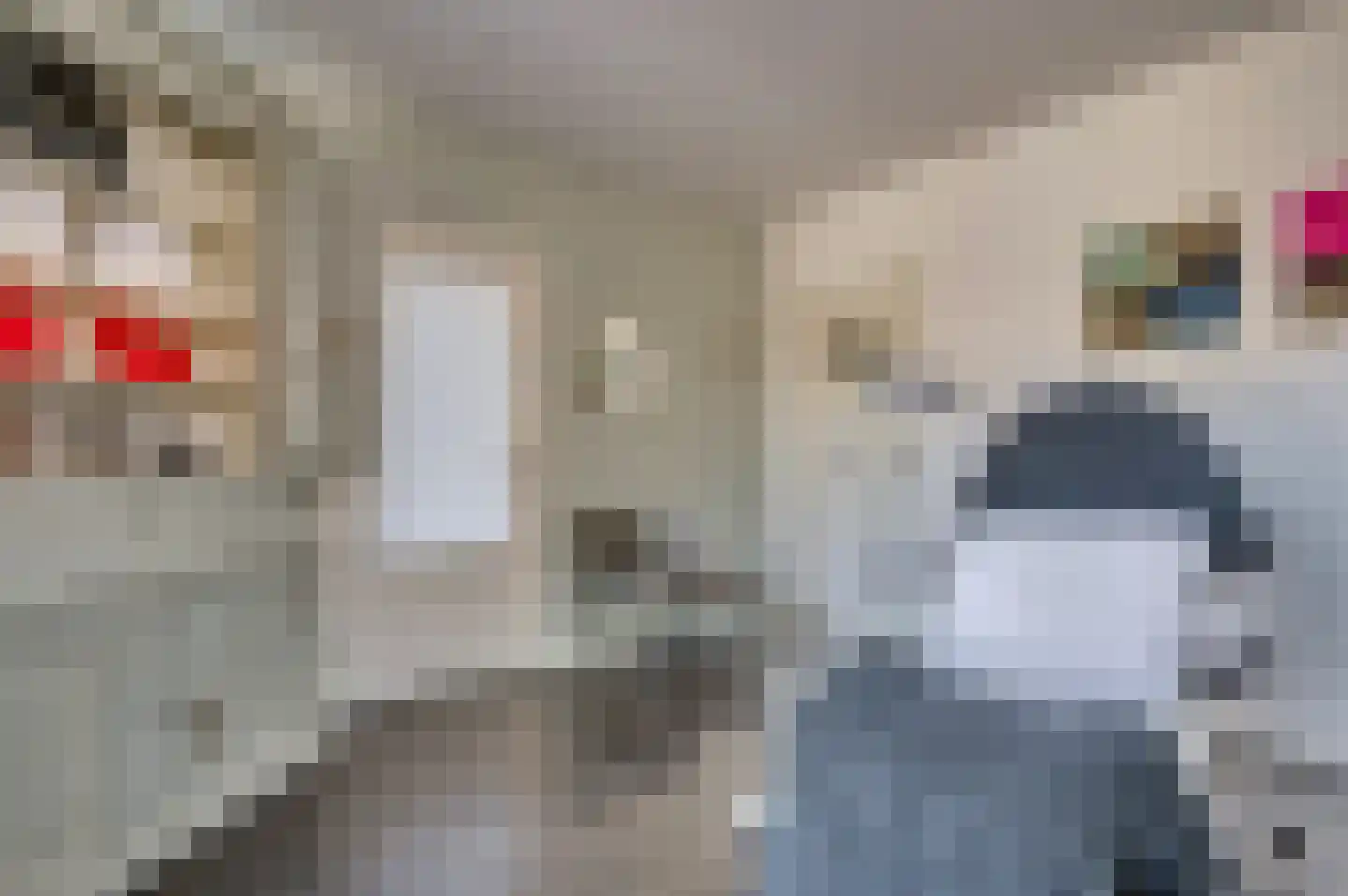 Veestraat 1 Venlo thumbnail 11