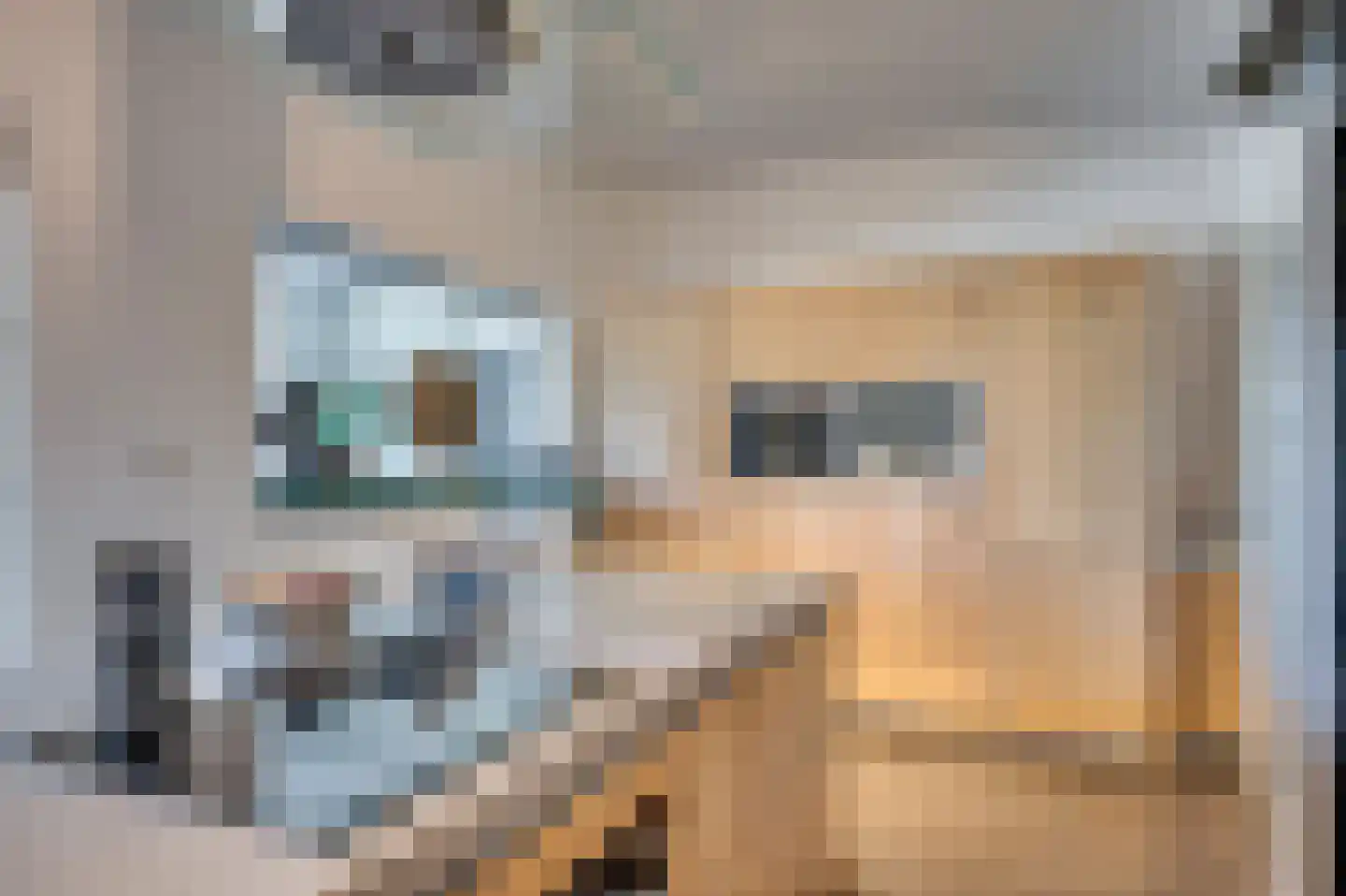 Veestraat 1 Venlo thumbnail 14