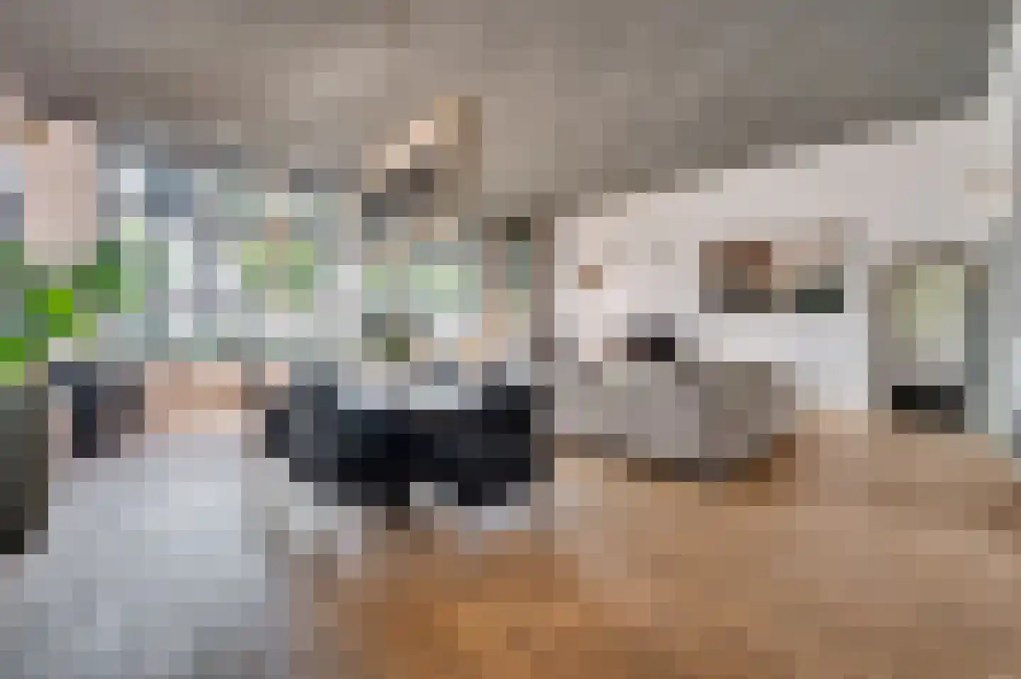 Veestraat 1 Venlo thumbnail 19