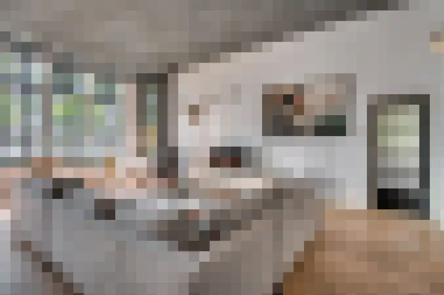 Veestraat 1 Venlo thumbnail 24