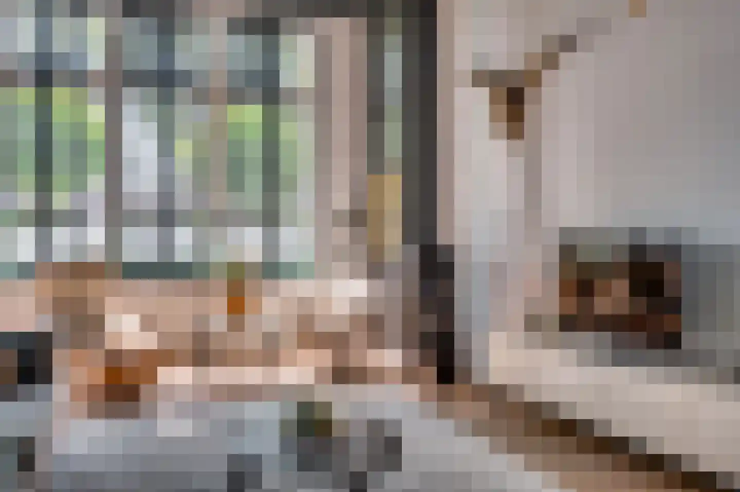 Veestraat 1 Venlo thumbnail 25