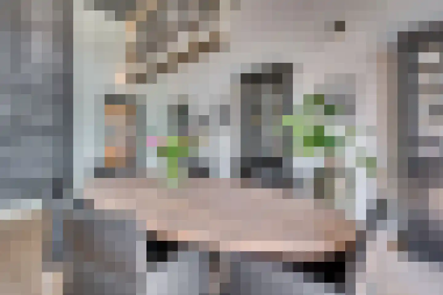 Veestraat 1 Venlo thumbnail 28