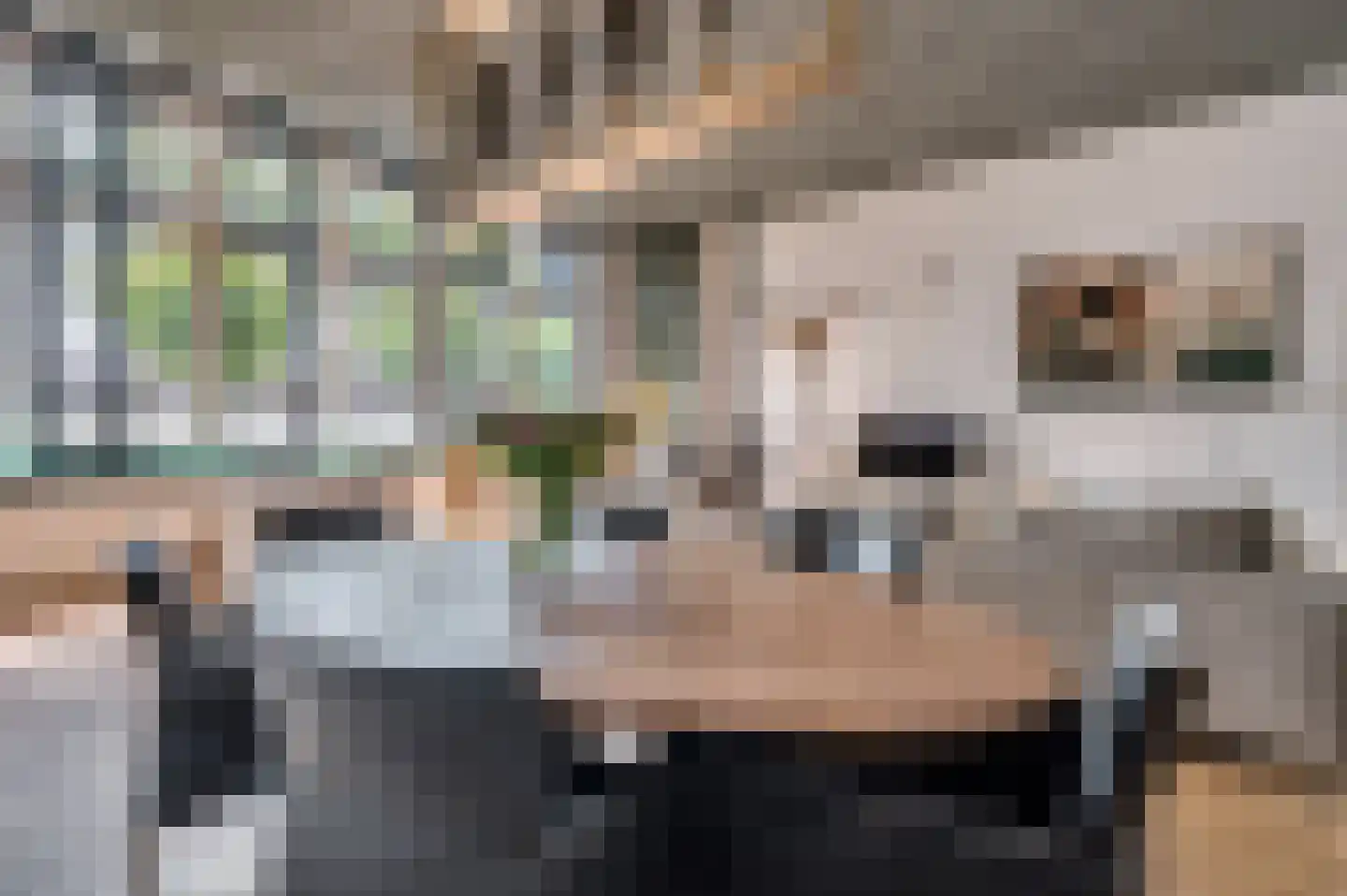 Veestraat 1 Venlo thumbnail 30
