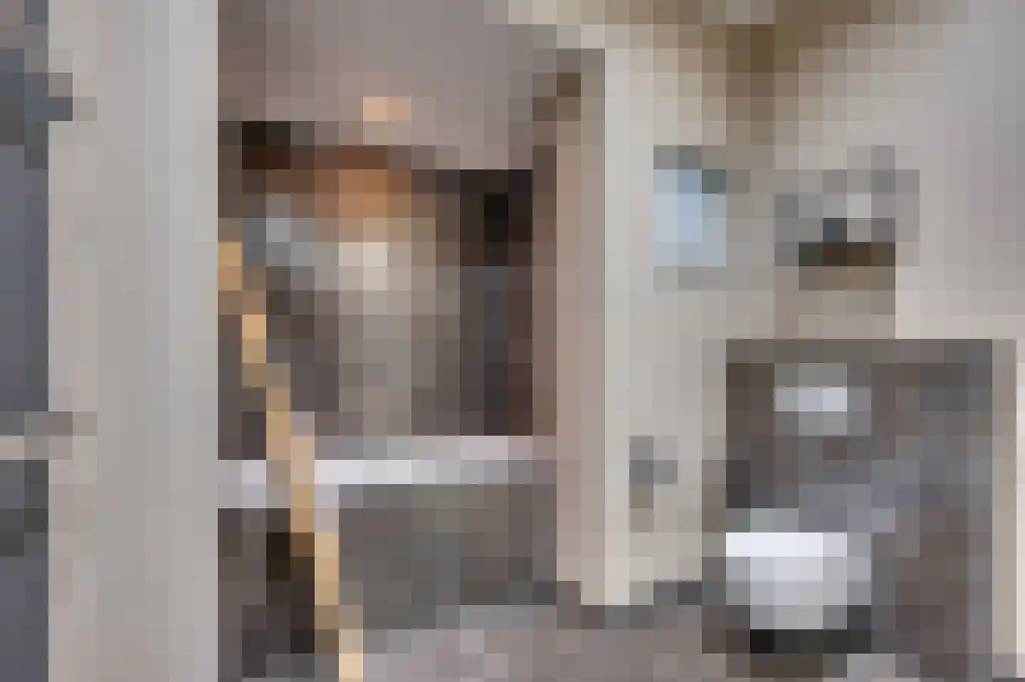 Veestraat 1 Venlo thumbnail 40