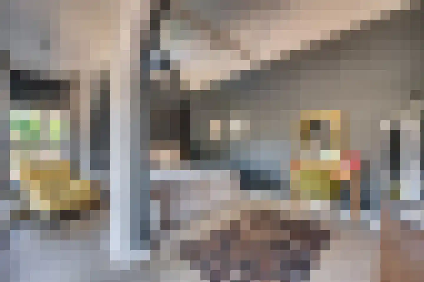 Veestraat 1 Venlo thumbnail 46