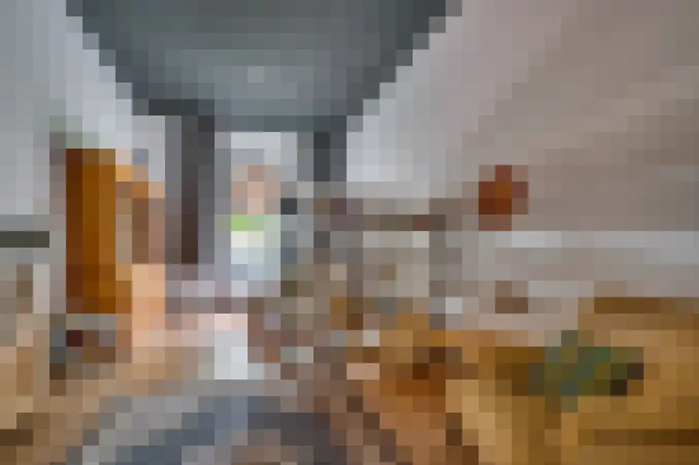 Veestraat 1 Venlo thumbnail 49