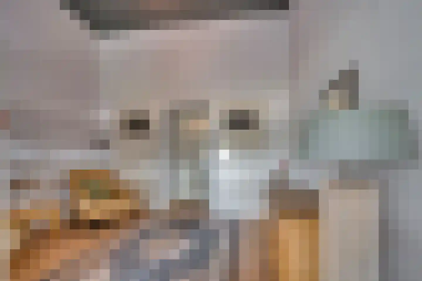 Veestraat 1 Venlo thumbnail 51