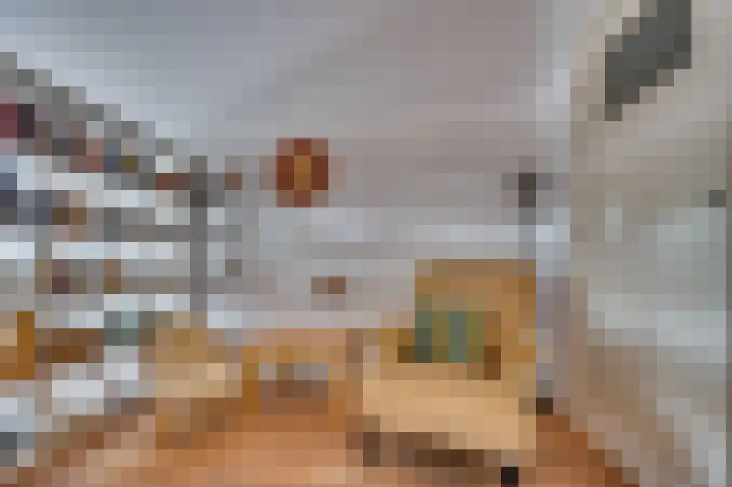 Veestraat 1 Venlo thumbnail 52