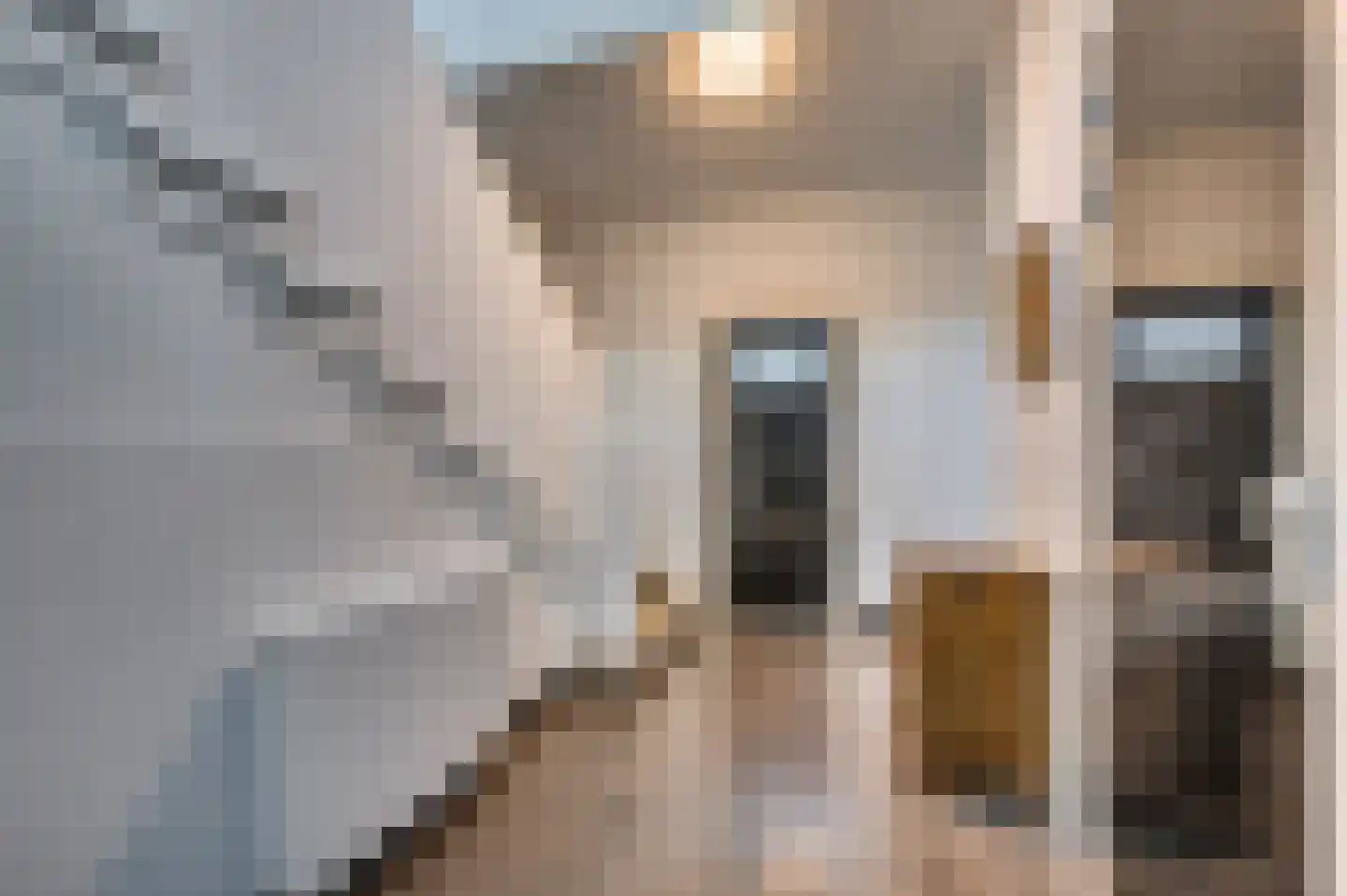 Veestraat 1 Venlo thumbnail 53