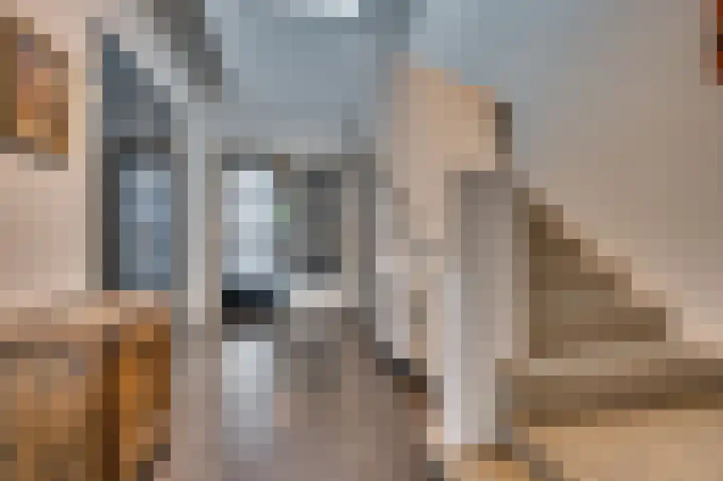 Veestraat 1 Venlo thumbnail 54
