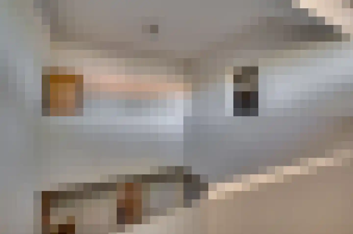 Veestraat 1 Venlo thumbnail 57