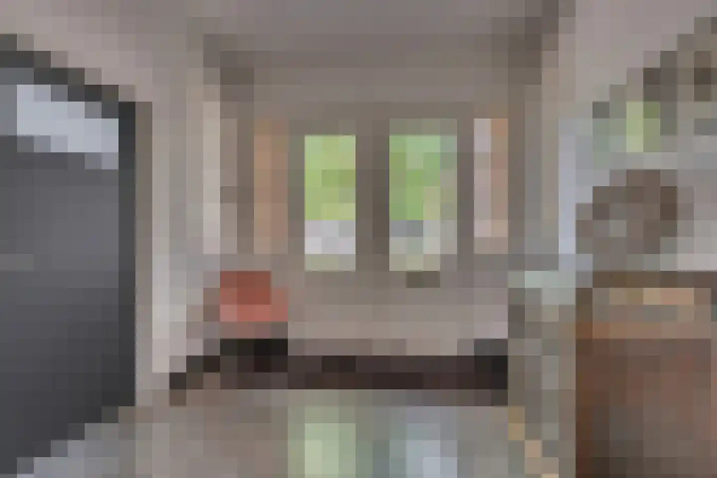 Veestraat 1 Venlo thumbnail 6