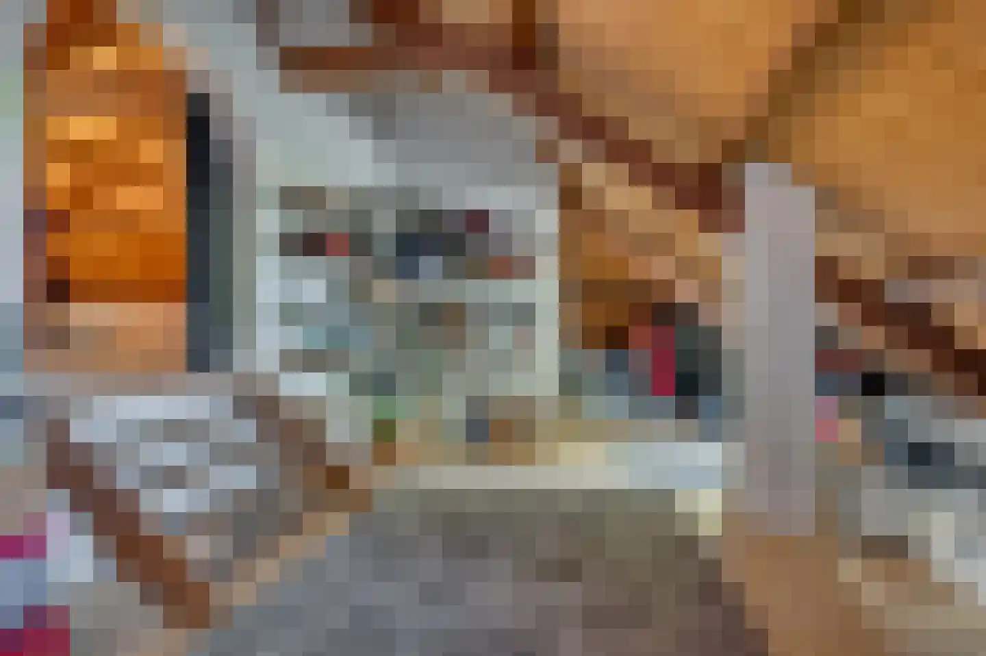 Veestraat 1 Venlo thumbnail 63