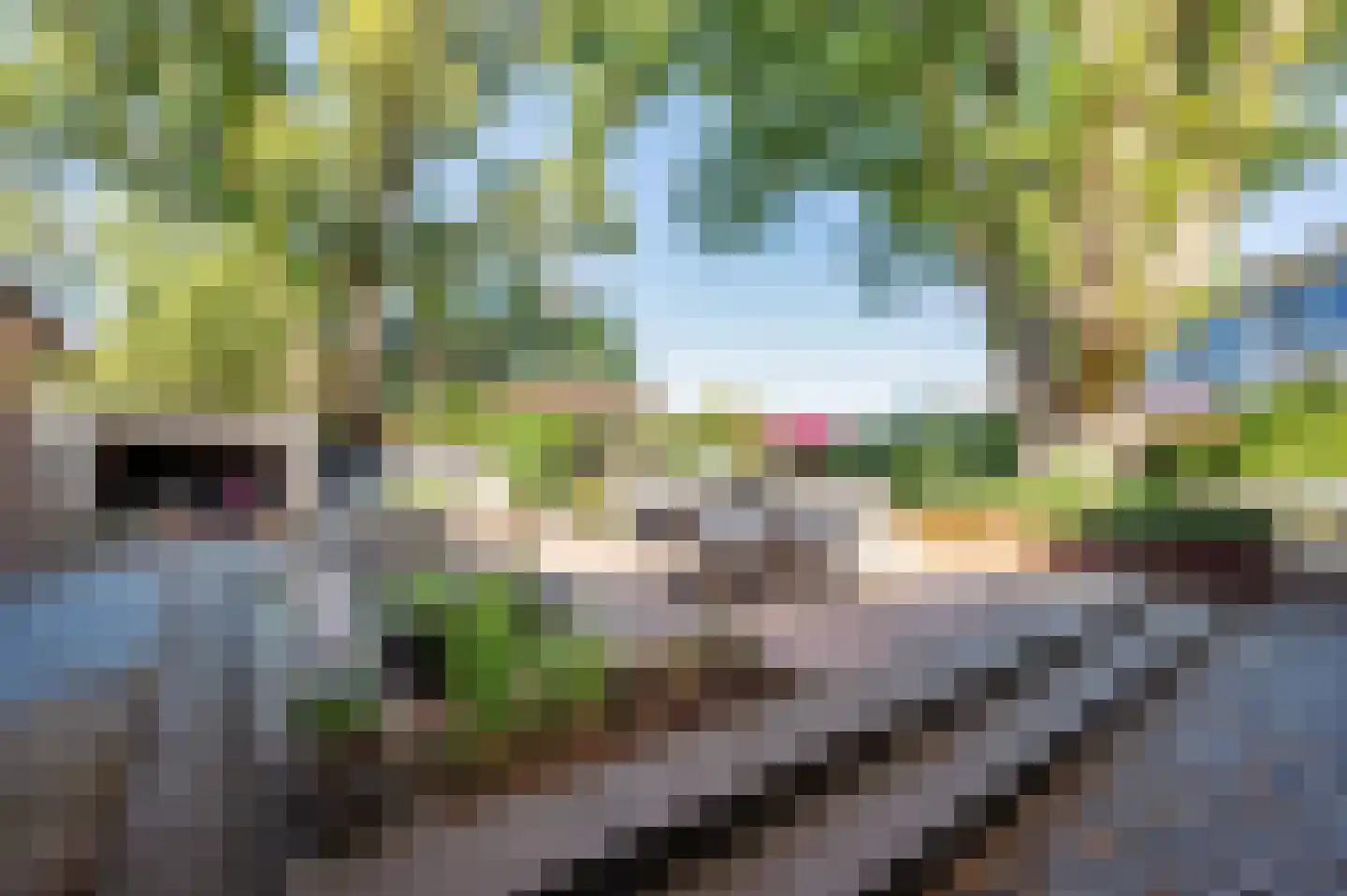 Veestraat 1 Venlo thumbnail 76