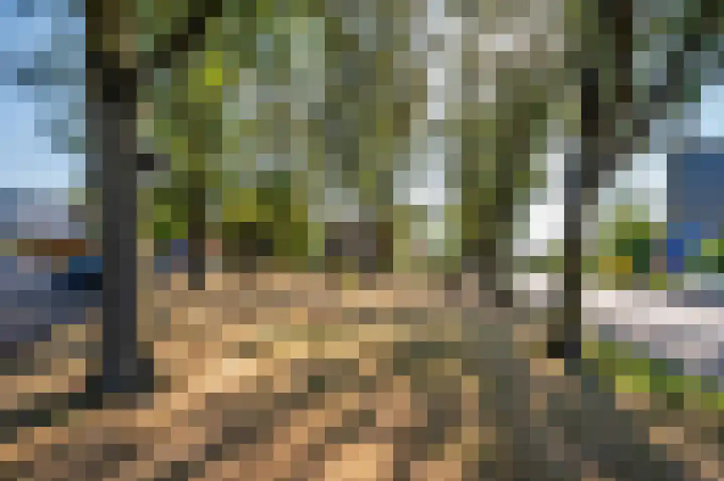 Veestraat 1 Venlo thumbnail 88
