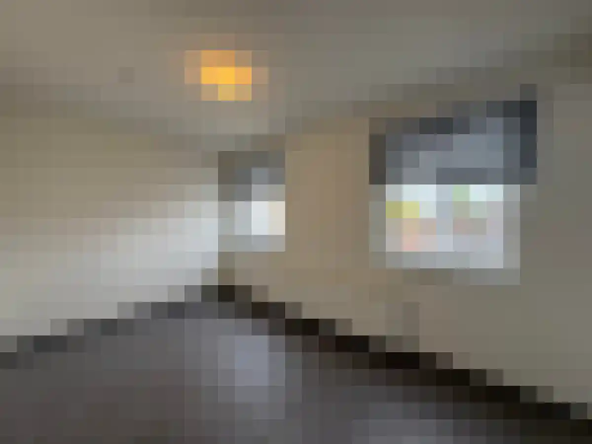 Veestraat 10 Sittard thumbnail 6