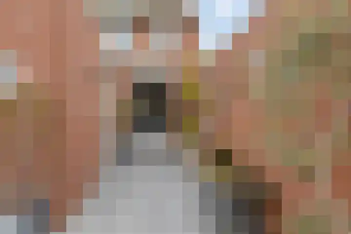 Veestraat 14 Made thumbnail 32