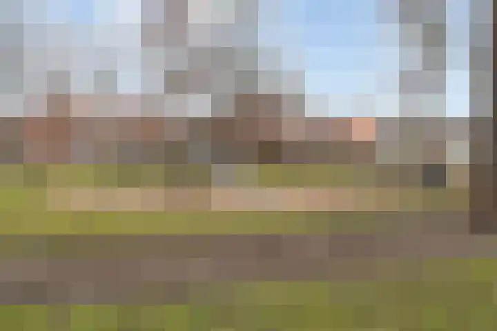 Veestraat 14 Made thumbnail 34