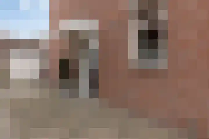 Veestraat 14 Made thumbnail 5