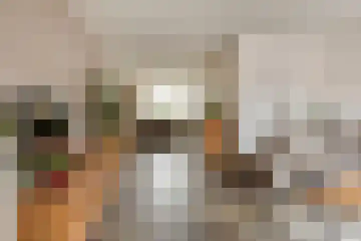 Veestraat 14 Made thumbnail 6