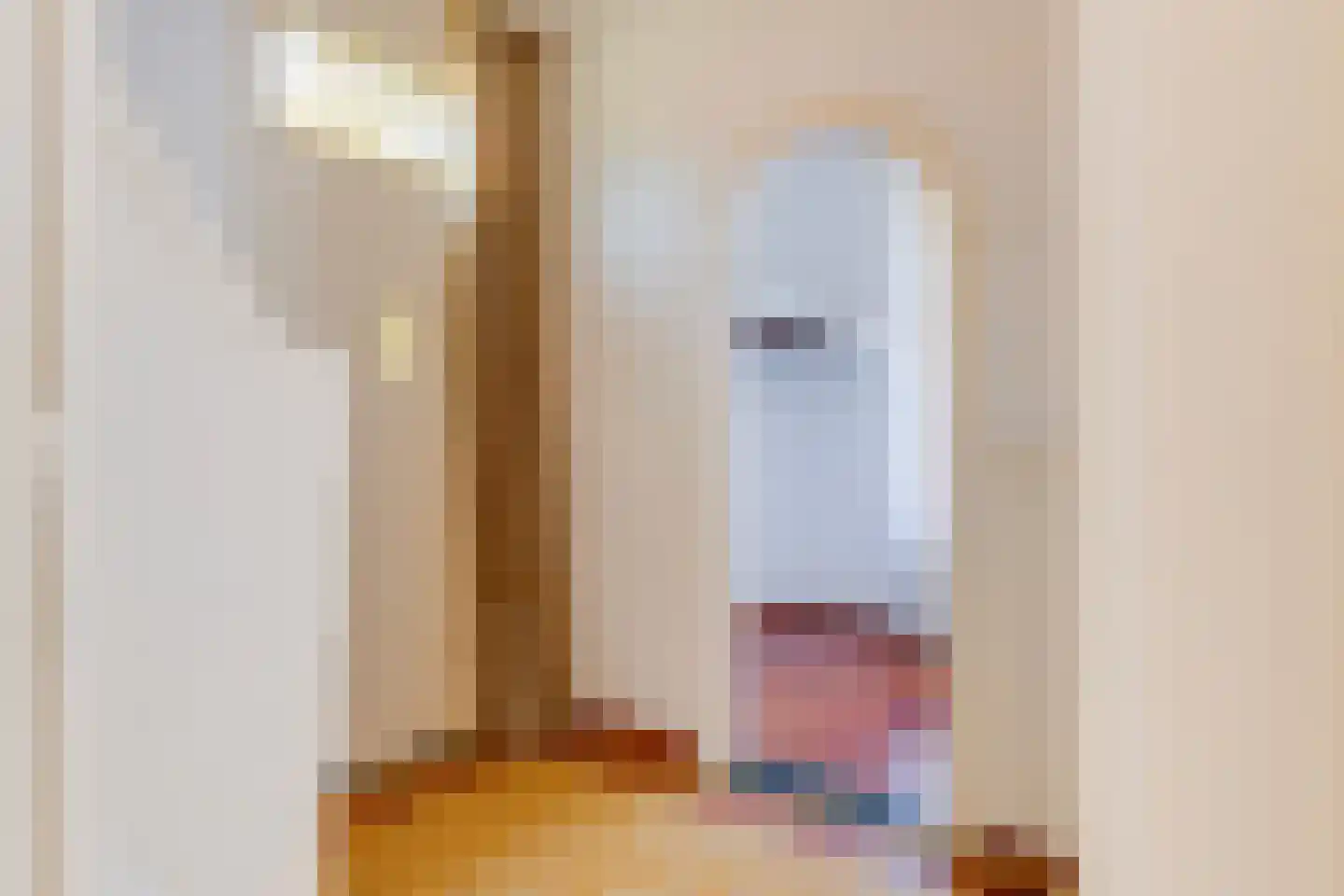 Veestraat 19 Linne thumbnail 10