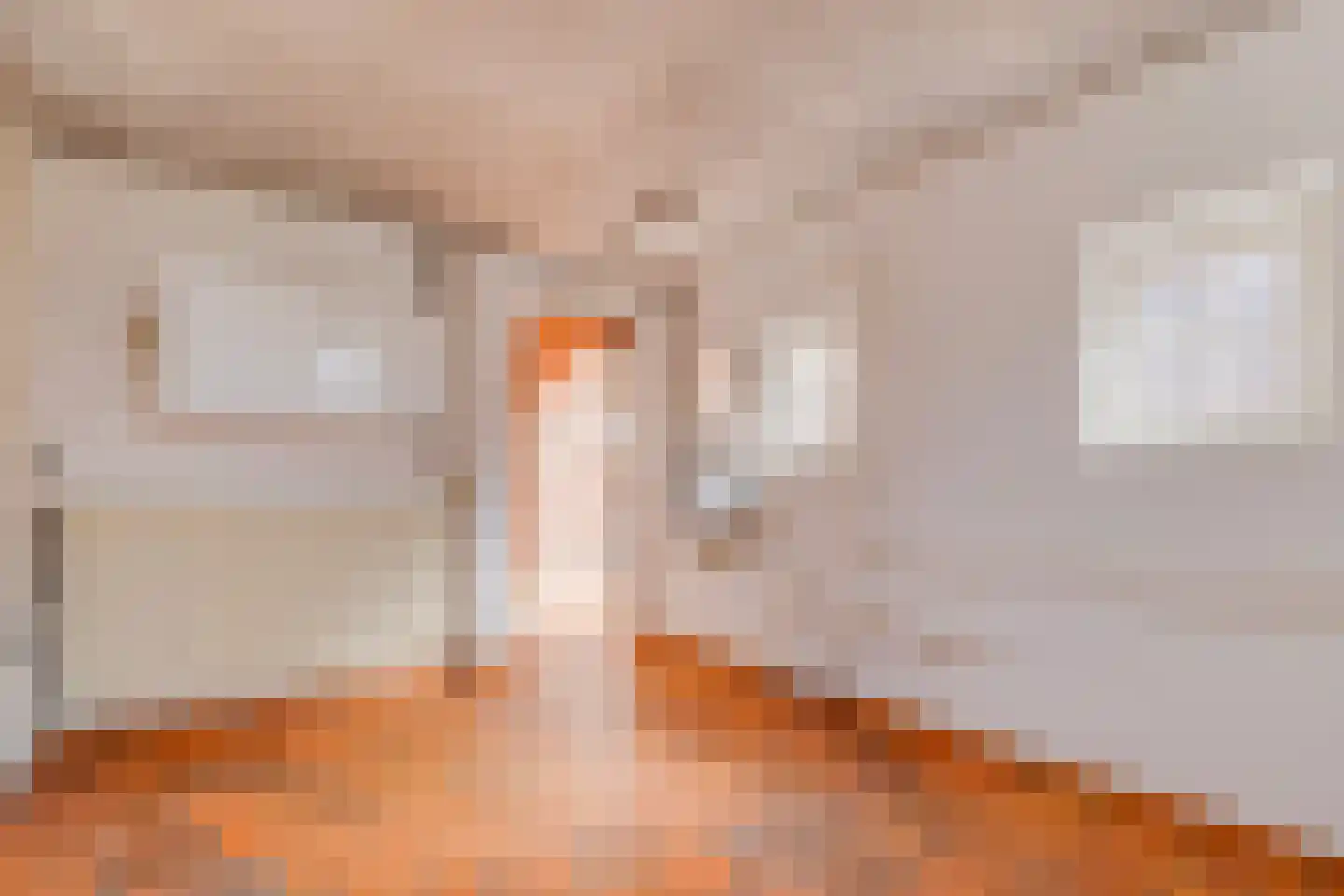 Veestraat 19 Linne thumbnail 18
