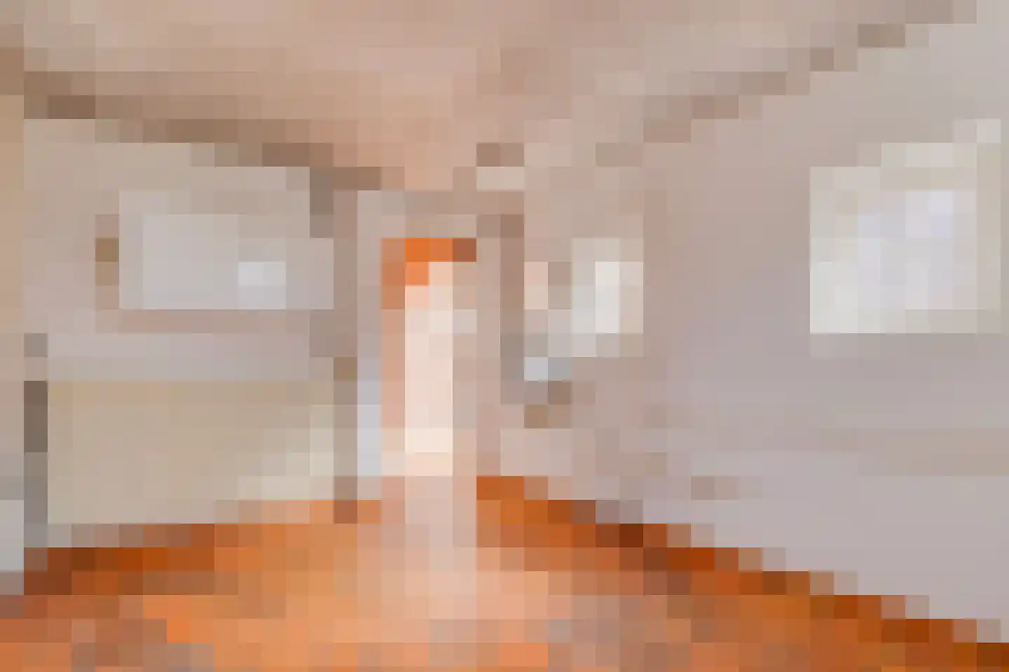 Veestraat 19 Linne thumbnail 18