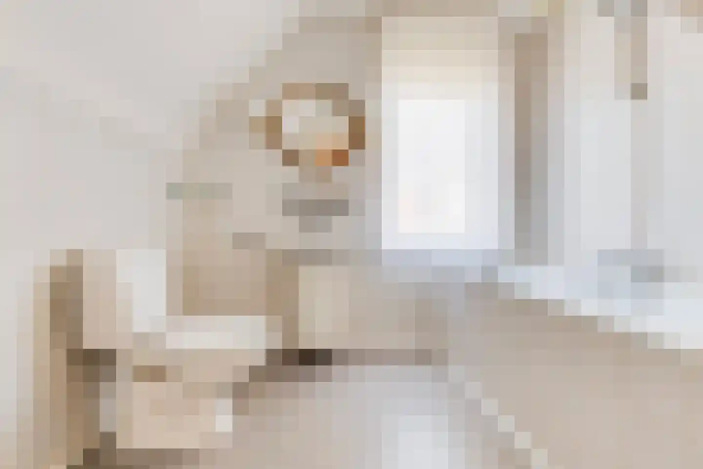 Veestraat 19 Linne thumbnail 22