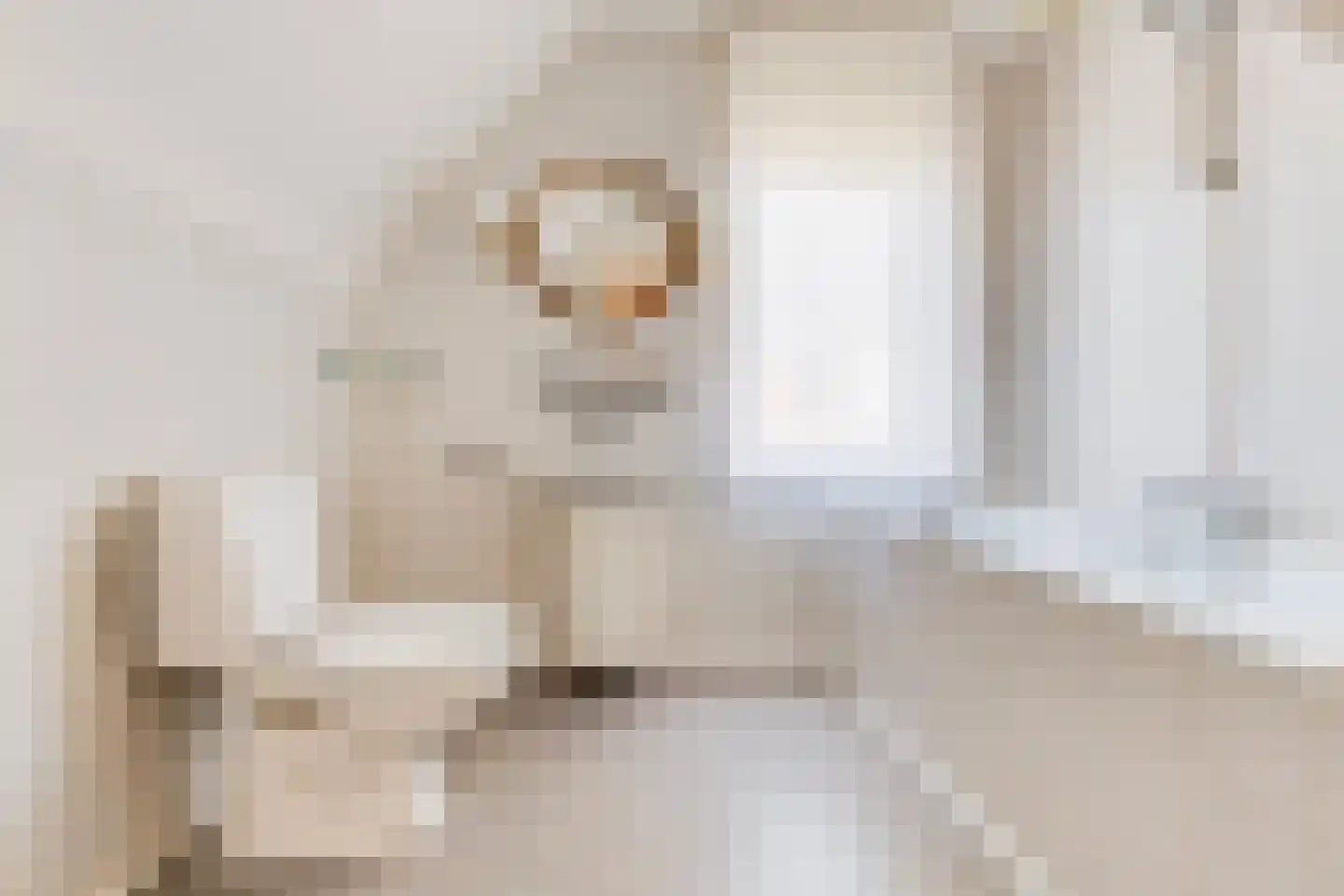 Veestraat 19 Linne thumbnail 22