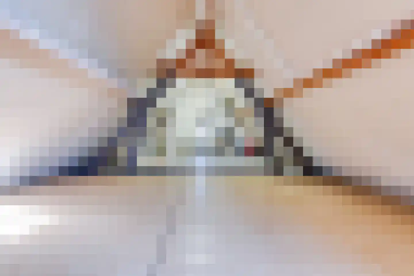Veestraat 19 Linne thumbnail 28