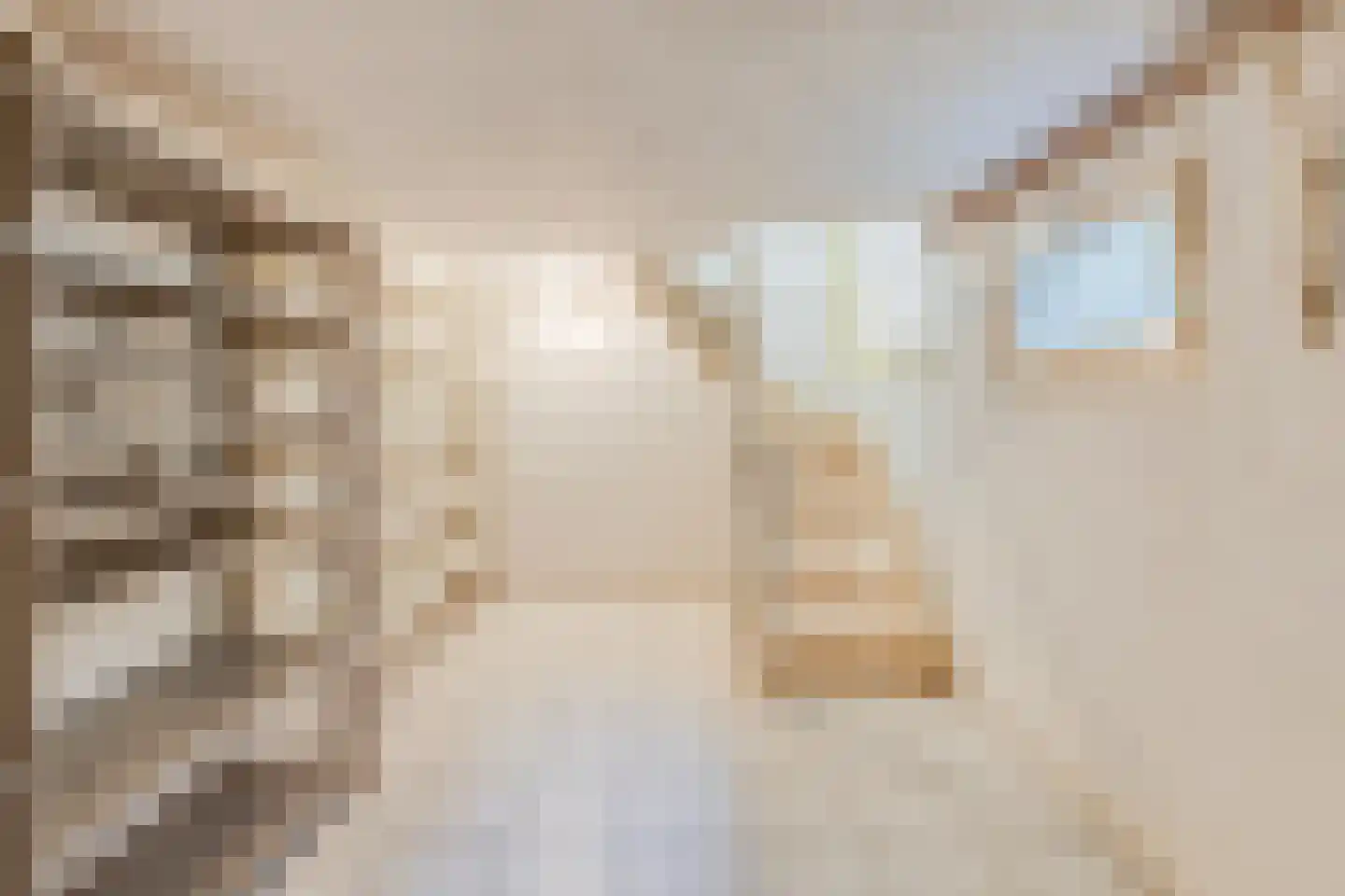 Veestraat 19 Linne thumbnail 29