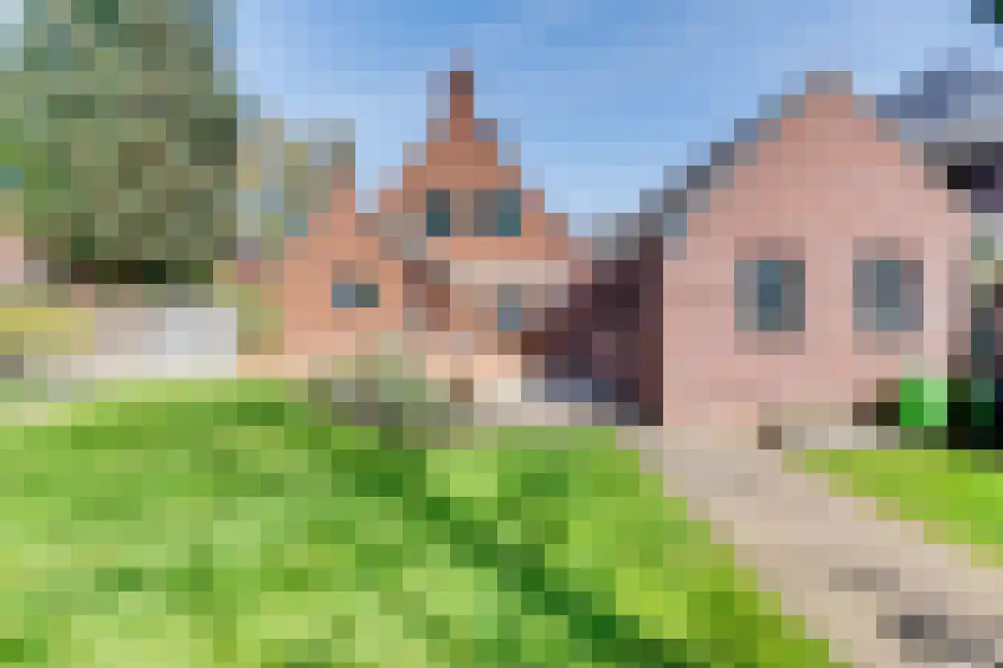 Veestraat 19 Linne thumbnail 32