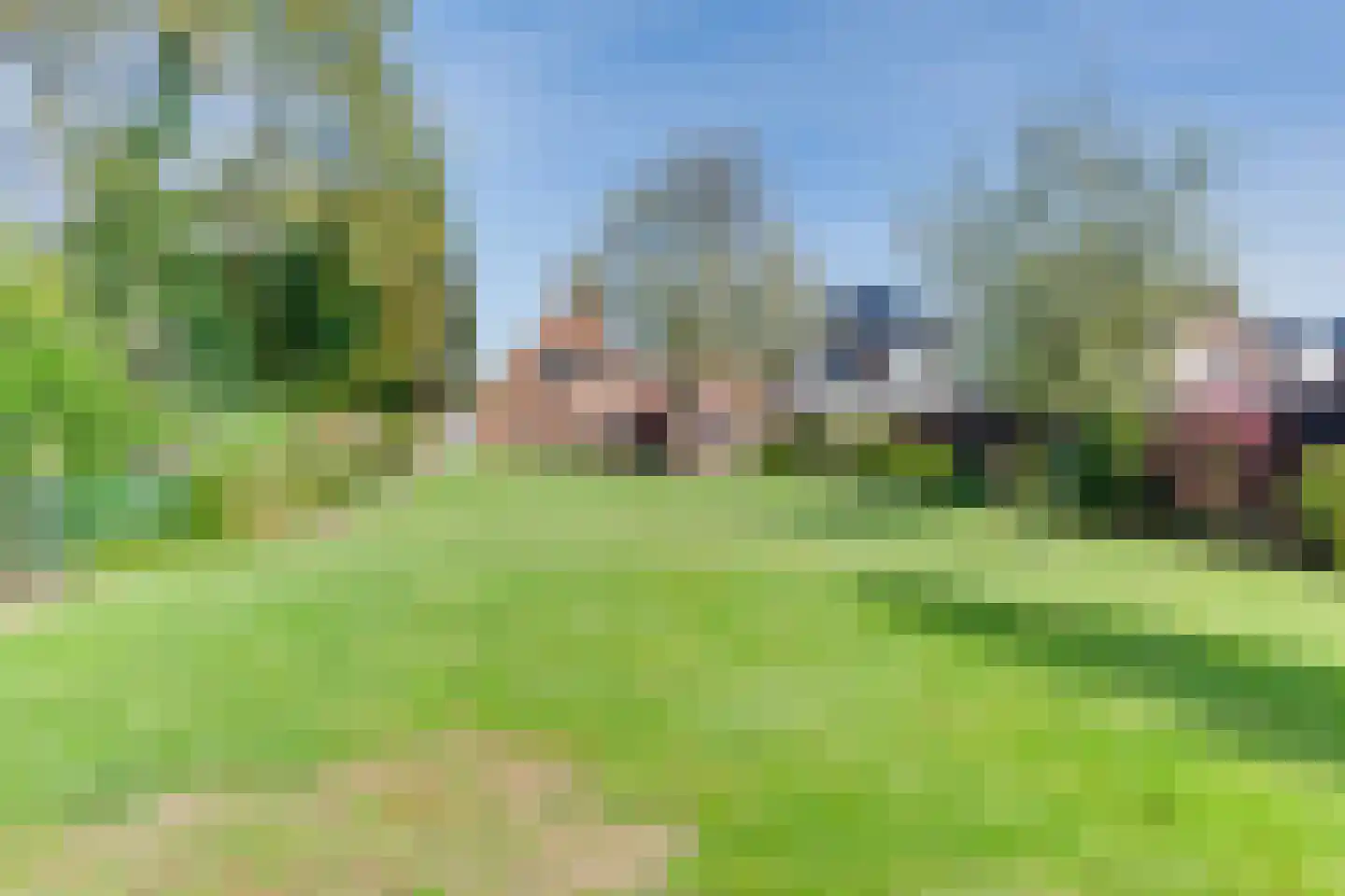 Veestraat 19 Linne thumbnail 34