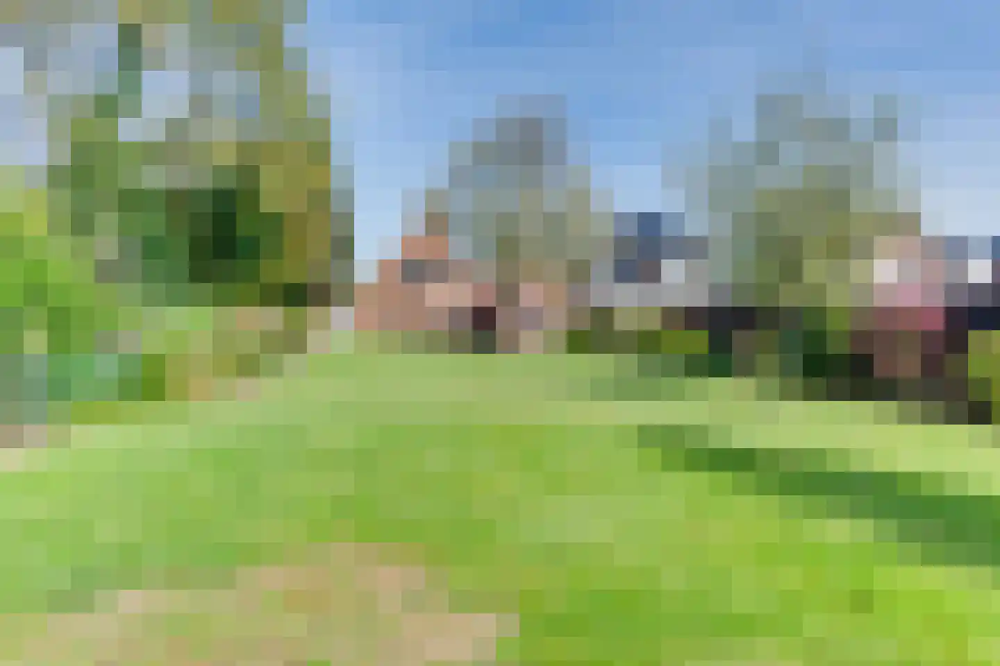 Veestraat 19 Linne thumbnail 34