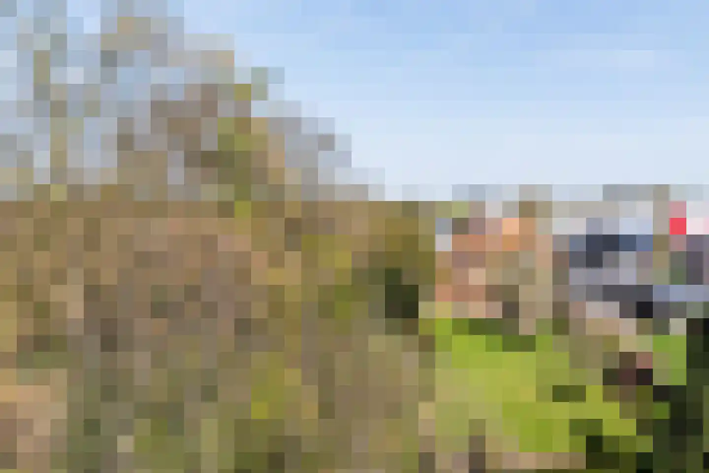 Veestraat 19 Linne thumbnail 35