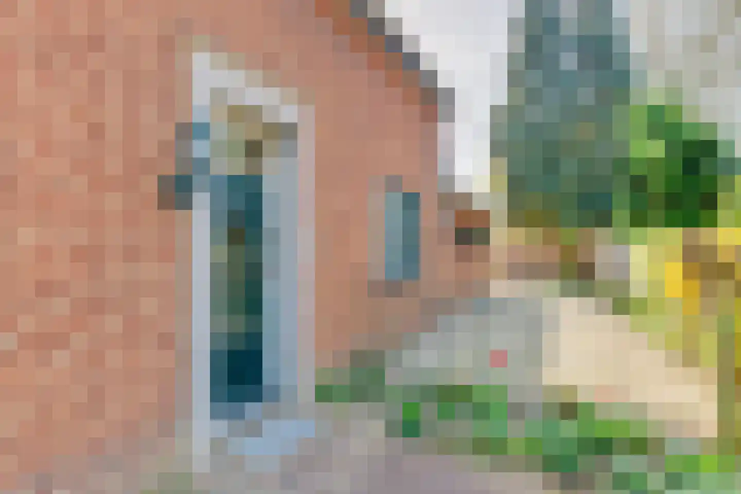 Veestraat 19 Linne thumbnail 7