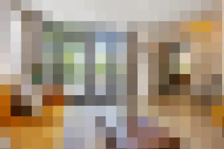 Veestraat 25 Herten thumbnail 11