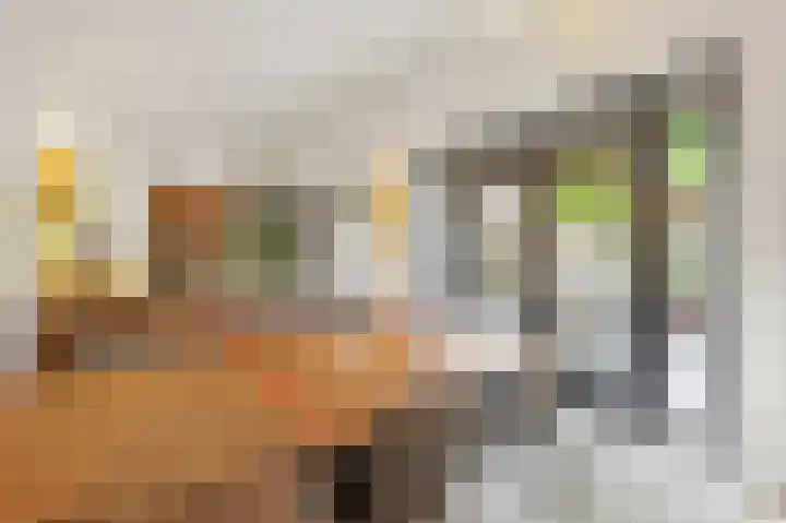 Veestraat 25 Herten thumbnail 17