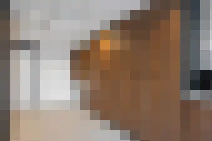 Veestraat 25 Herten thumbnail 21