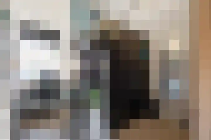 Veestraat 25 Herten thumbnail 27
