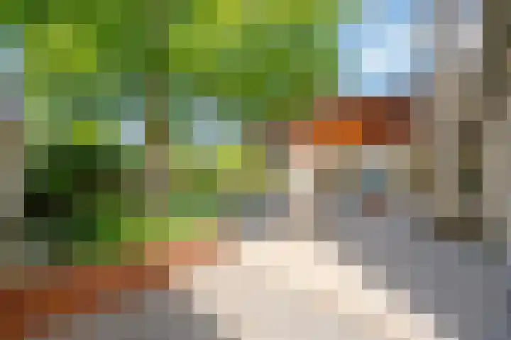 Veestraat 25 Herten thumbnail 33