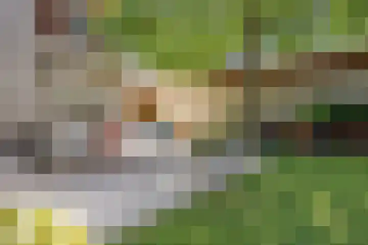 Veestraat 25 Herten thumbnail 34