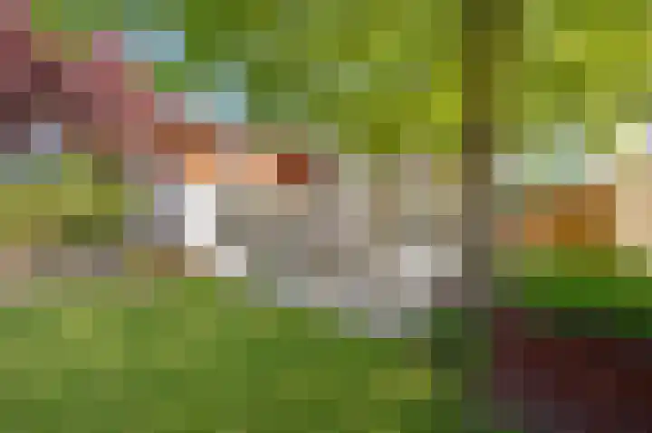 Veestraat 25 Herten thumbnail 35