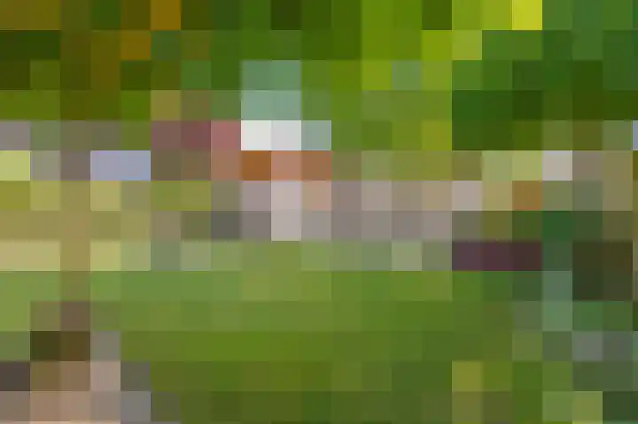 Veestraat 25 Herten thumbnail 36