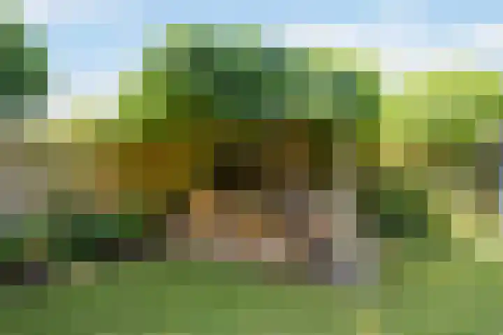 Veestraat 25 Herten thumbnail 37