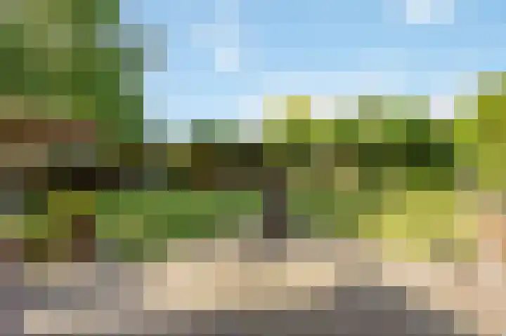 Veestraat 25 Herten thumbnail 38