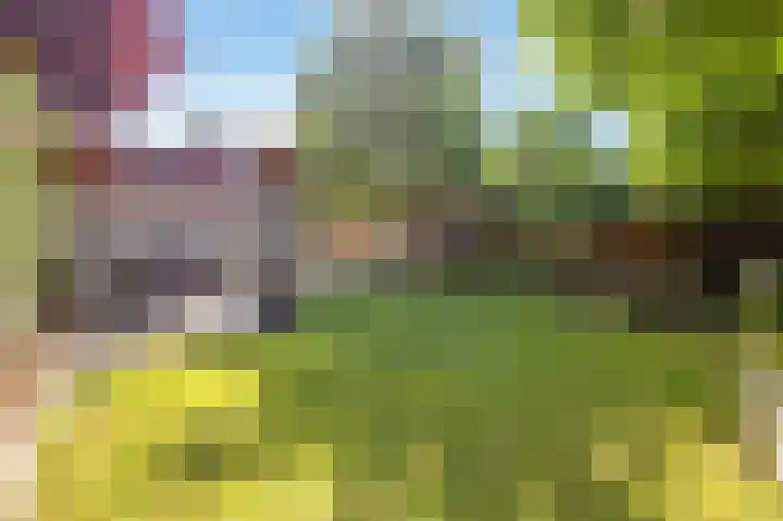 Veestraat 25 Herten thumbnail 39