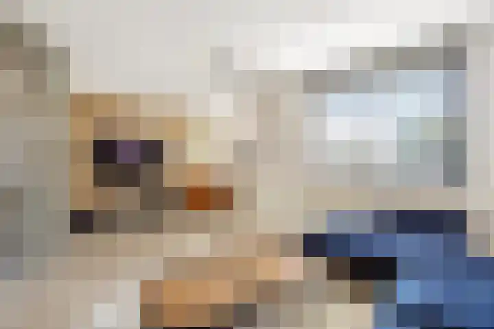 Veestraat 25 Herten thumbnail 7