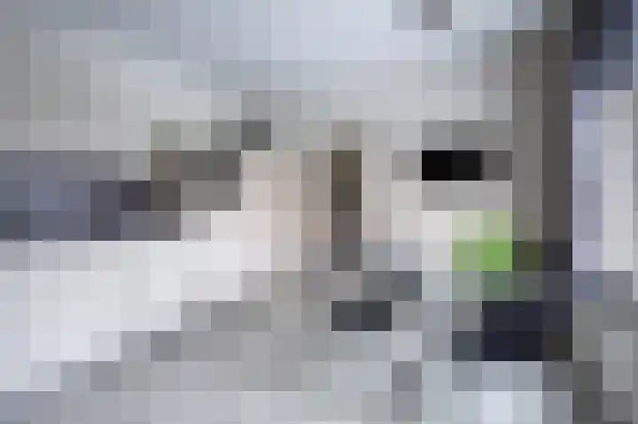 Veestraat 34 Linne thumbnail 10